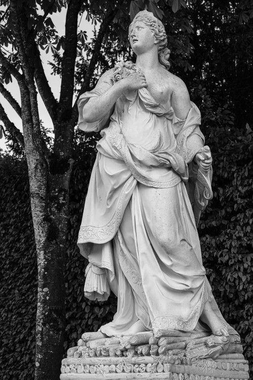 polgegh_20260420_dsf2572_replmr2074.jpg