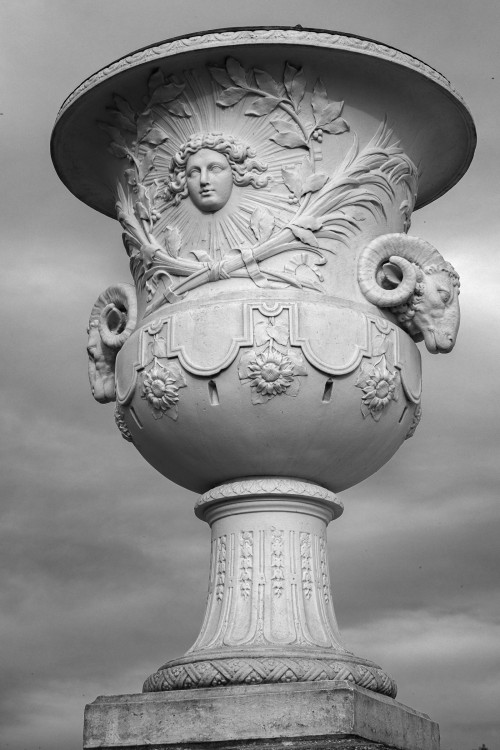 polgegh_20260427_dsf2799_replmr2802.jpg