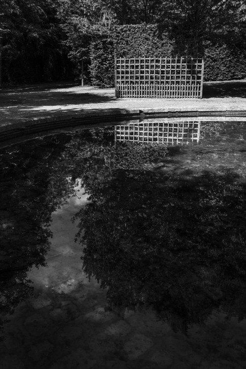 polgegh_20260507_dsf2939.jpg