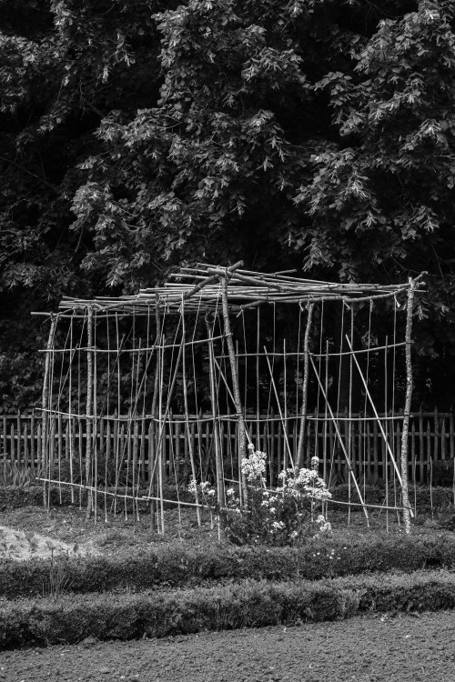polgegh_20260521_dsf3114.jpg