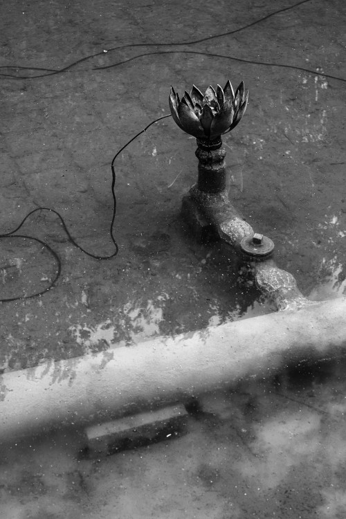 polgegh_20260605_dsf3274.jpg