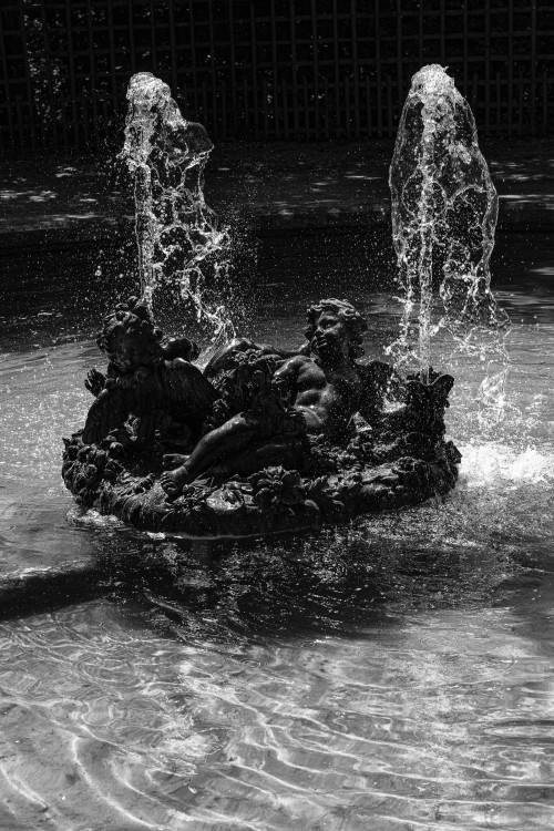 polgegh_20260613_dsf3511.jpg