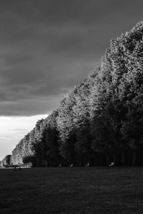 polgegh_20230925_dsf5082.jpg