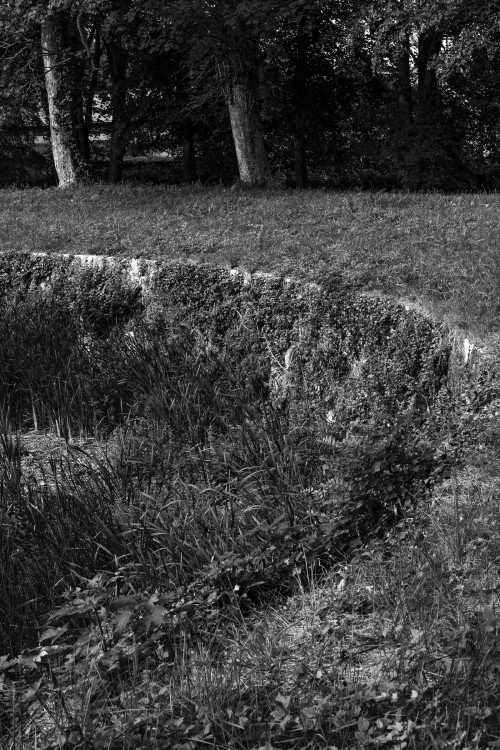 polgegh_20230928_dsf5203.jpg