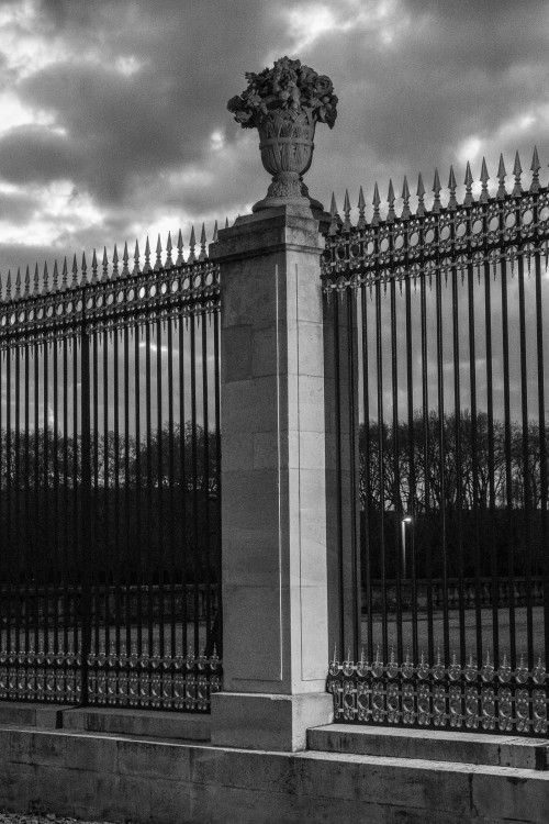 polgegh_20231124_dsf5865.jpg