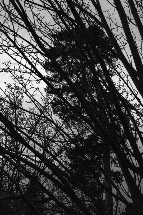 polgegh_20231202_dsf6052.jpg