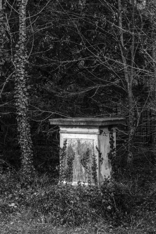 polgegh_20231227_dsf6162.jpg