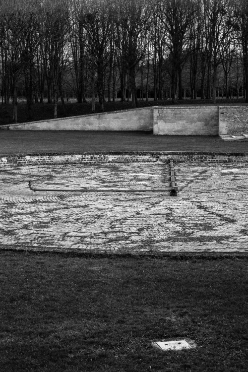 polgegh_20231227_dsf6248.jpg