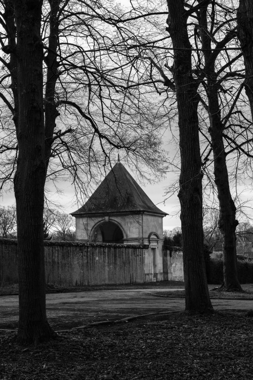 polgegh_20231227_dsf6252.jpg