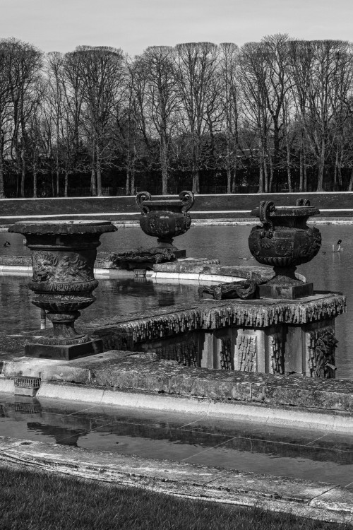 polgegh_20240308_dsf7349.jpg