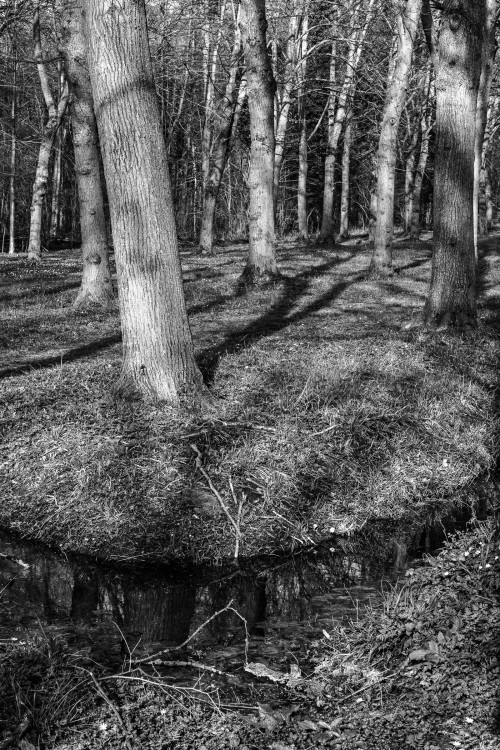 polgegh_20240321_dsf7842.jpg