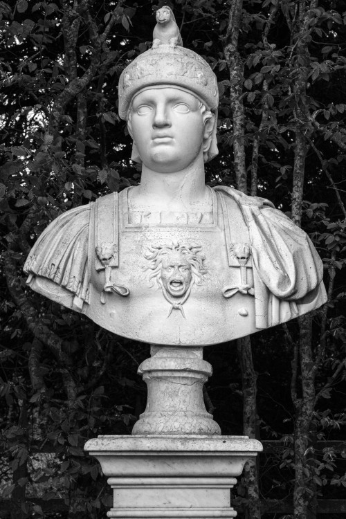 polgegh_20240404_dsf8092_mr646.jpg