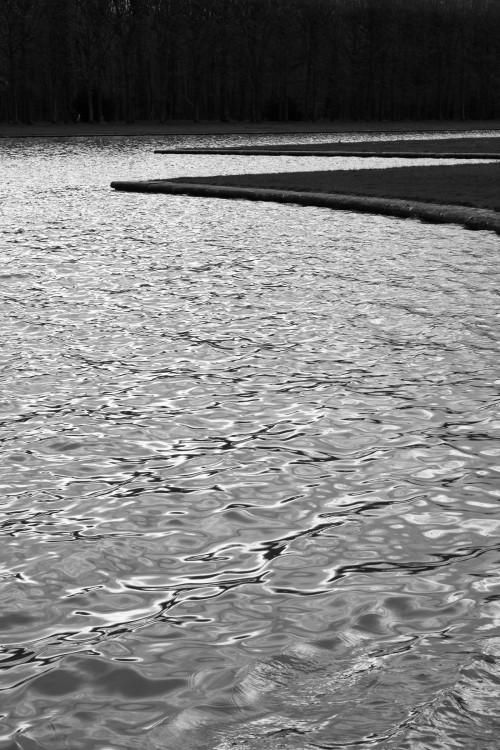 polgegh_20240404_dsf8163.jpg