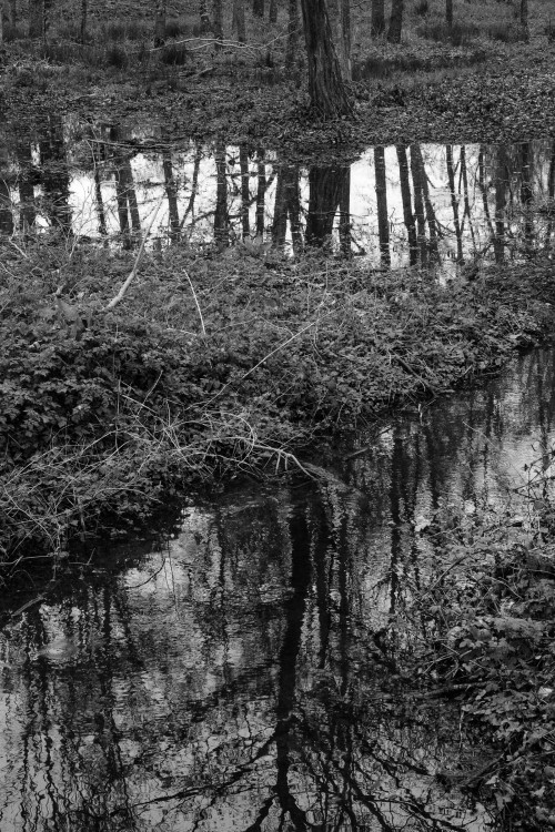 polgegh_20240404_dsf8192.jpg