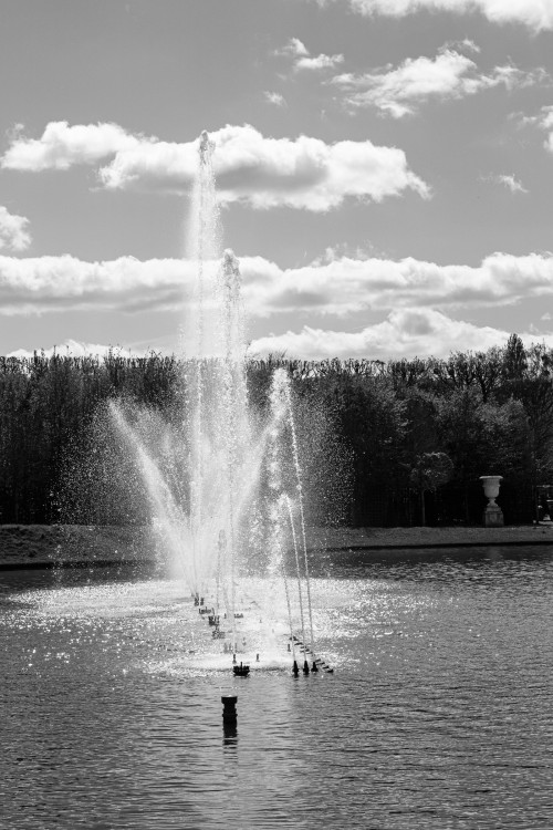 polgegh_20240410_dsf8233.jpg