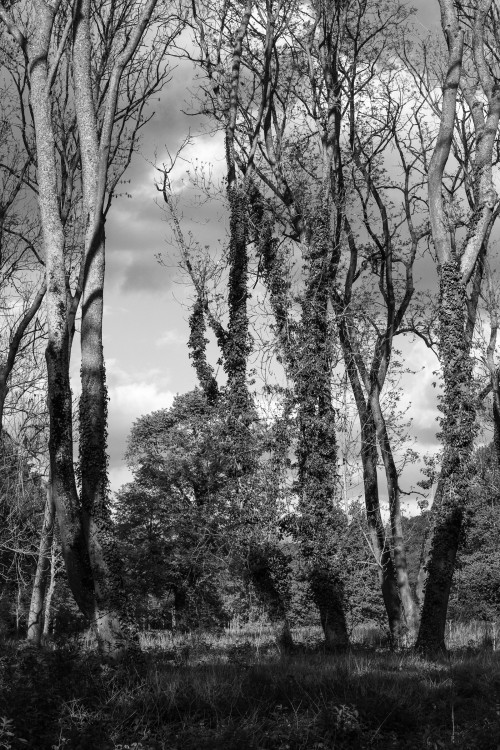 polgegh_20240418_dsf8621.jpg