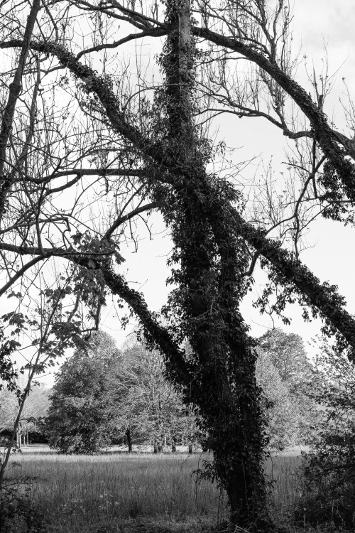 polgegh_20240418_dsf8627.jpg