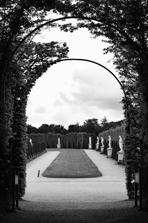 polgegh_20240429_dsf8955.jpg