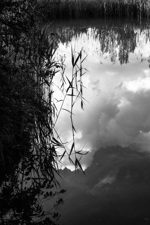 polgegh_20240516_dsf9294.jpg