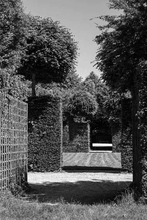 polgegh_20240607_dsf0098.jpg